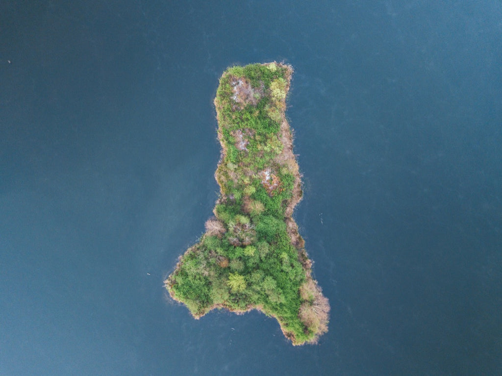 Island Piney Z Lake Tallahassee, Florida - Aerial Tallahassee